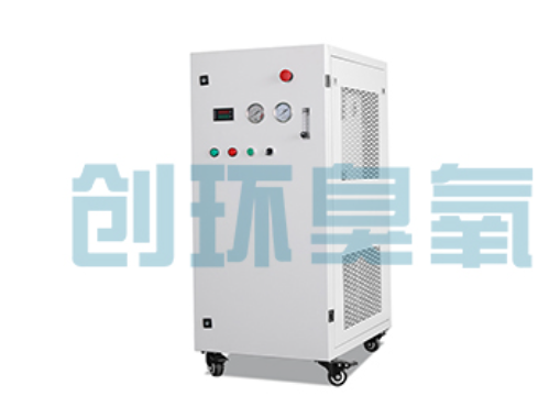 萍乡石斑鱼养殖水质调控完整指南:臭氧发生器配置与操作步骤