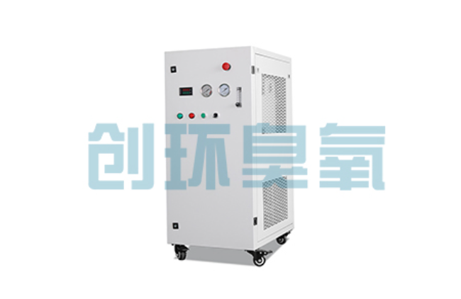 萍乡比传统换水更高效?臭氧发生器在石斑鱼养殖中的水质净化原理解析